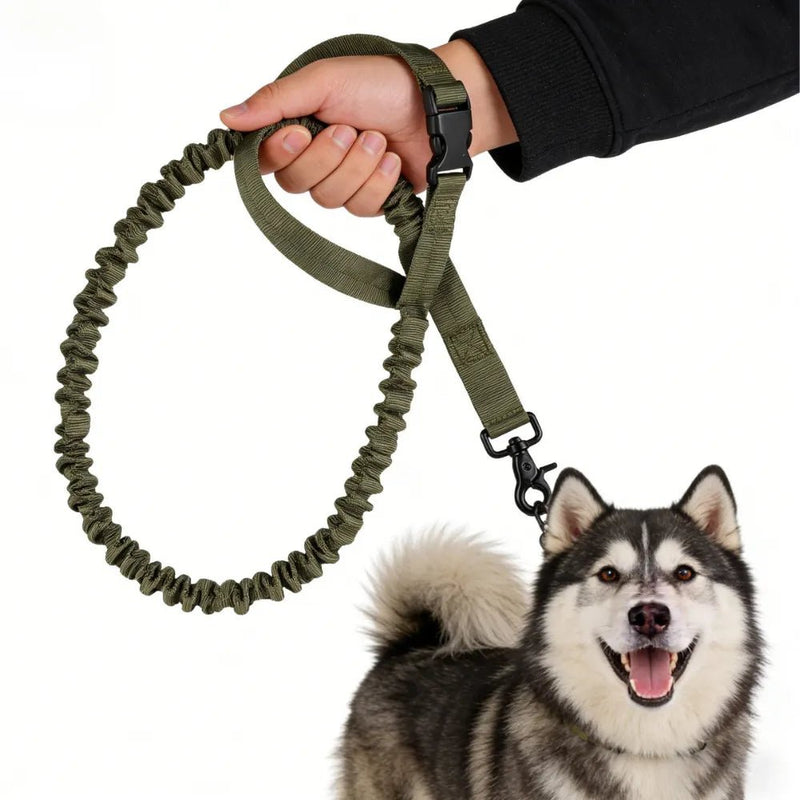 4 Color Option Outdoor Dog Walking Tactical Leash - GreenFur