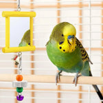 4 Pack Colorful Acrylic Parrot Toy with Mirror and Grinding Accessory - GreenFur