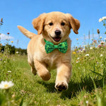 4 Pcs Set St Patrick Clover Pet Collar with Bow Decorative Accessory for Dogs and Cats - GreenFur