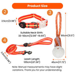 4 - Piece Set S, M Size Orange Dog Nighttime Outdoor Collection - GreenFur