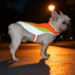 4 - Piece Set S, M Size Orange Dog Nighttime Outdoor Collection - GreenFur