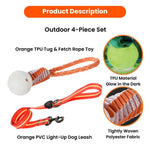 4 - Piece Set S, M Size Orange Dog Nighttime Outdoor Collection - GreenFur
