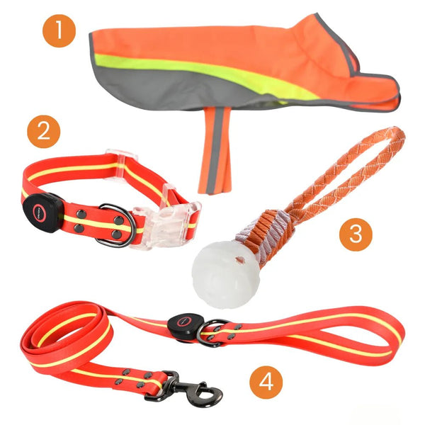 4 - Piece Set S, M Size Orange Dog Nighttime Outdoor Collection - GreenFur