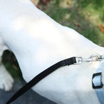 47.2 Inches Long Pet Outdoor Durable Black Nylon Dog Leash - GreenFur