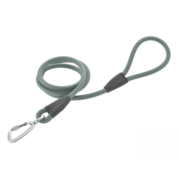 4ft Waterproof Easy to Clean PVC Dog Leash with Zinc Alloy Buckle - GreenFur