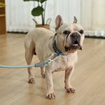 4ft Waterproof Easy to Clean PVC Dog Leash with Zinc Alloy Buckle - GreenFur