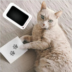 4Pcs Pet Souvenirs Set 1 Ink Pads and 2 Paper Pet Inkless Paw Print Kit - GreenFur