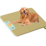 4XL Giant Cooling Rattan Bed for Extra Large Dogs - GreenFur