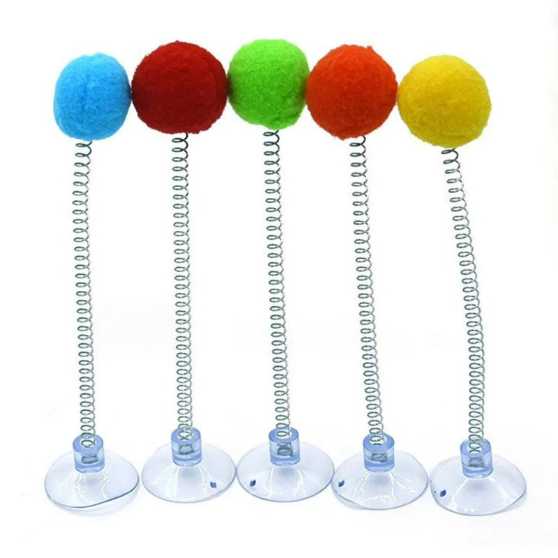 5 Pack Set Random Color Cat Teaser Spring Toy with Pom - Pom - GreenFur