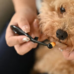 5 PCS Washable Superfine Fiber Long Tapered Bristles Dog Tear Stain Remover - GreenFur