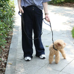 59'' Double - Layer Reflective Dog Leash for Large and Medium Dogs - GreenFur