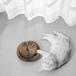 Accordion Interactive Cat Scratching Board with Bell - GreenFur