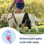 Adjustable Acl Injury Leg Recovery Dog Knee Brace - GreenFur