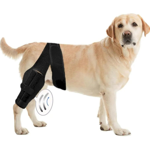 Adjustable Acl Injury Leg Recovery Dog Knee Brace - GreenFur