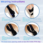 Adjustable Acl Injury Leg Recovery Dog Knee Brace - GreenFur