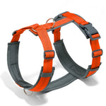 Adjustable Anti - Pull Dog Harness Set with Diving Fabric - GreenFur