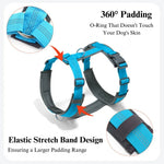 Adjustable Anti - Pull Dog Harness Set with Diving Fabric - GreenFur