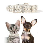 Adjustable Beautiful Pearl Puppy Kitten Collar - GreenFur