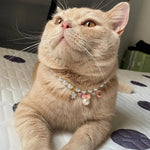 Adjustable Bow Star Moon Pet Necklace with Bell - GreenFur