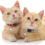 Adjustable Breakaway Buckle Cat Collar with Bell - GreenFur