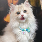 Adjustable Breathable Cute Polyester Cat Collar with Bell - GreenFur
