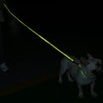 Adjustable Collar Night Visibility Reflective Pet Dog Leash Collar Set - GreenFur
