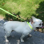 Adjustable Collar Night Visibility Reflective Pet Dog Leash Collar Set - GreenFur