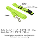 Adjustable Collar Night Visibility Reflective Pet Dog Leash Collar Set - GreenFur