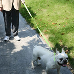 Adjustable Collar Night Visibility Reflective Pet Dog Leash Collar Set - GreenFur