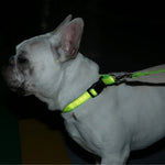 Adjustable Collar Night Visibility Reflective Pet Dog Leash Collar Set - GreenFur