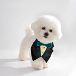 Adjustable Cotton Dog Scarves with British Style - GreenFur