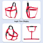 Adjustable Dog Harness Set for Small Medium Large Breeds - GreenFur