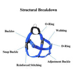Adjustable Dog Harness Set for Small Medium Large Breeds - GreenFur