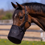 Adjustable Durable Nylon Grain Feed Bag for Horses with Neck Pad - GreenFur