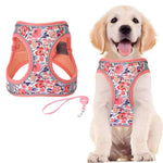 Adjustable Explosion - Proof Polyester Cat Harness with Leash - GreenFur