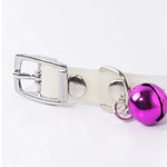 Adjustable Fashion Glowing Silicone Puppy Kitten Collar with Bell - GreenFur