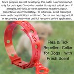 Adjustable Flea and Tick Repellent Dog Collar with Fresh Scent - GreenFur