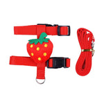 Adjustable H Style Rabbit Hamster Harness Leash Set for Walking - GreenFur