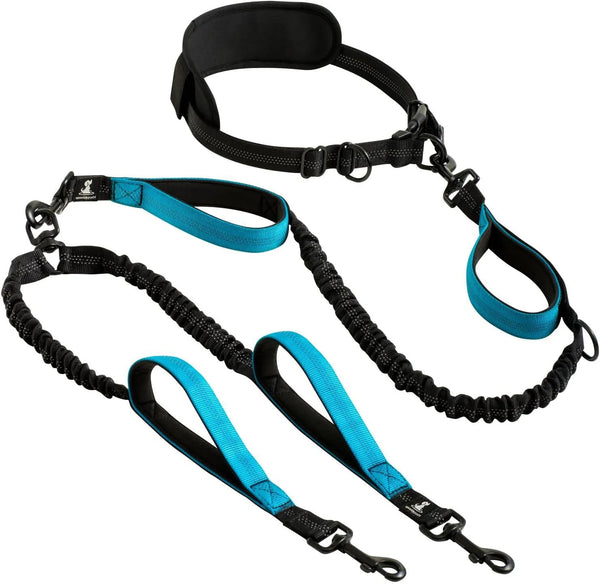 Adjustable Hands - Free Pet Belt Retractable Bungee Double Dog Leash - GreenFur
