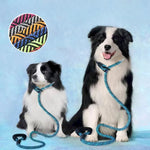 Adjustable No - Choke Leash for All Sizes Dog - GreenFur