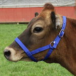 Adjustable Nylon Horse Halter Straps for Cattle and Horses - GreenFur