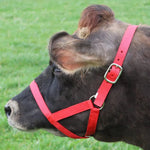 Adjustable Nylon Horse Halter Straps for Cattle and Horses - GreenFur