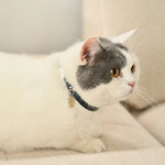 Adjustable Pet Collar For Cats and Small Dogs - GreenFur