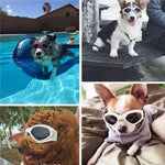 Adjustable Pet Eyewear UV Protection Sunglasses for Dogs - GreenFur