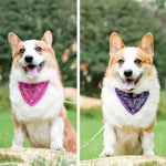 Adjustable PU Collar Suitable for Cats and Dogs - GreenFur