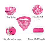 Adjustable PU Collar Suitable for Cats and Dogs - GreenFur