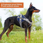 Adjustable Reflective Pet Harness and Leash Set with Alloy D - Ring - GreenFur