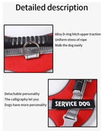 Adjustable Reflective Pet Harness and Leash Set with Alloy D - Ring - GreenFur