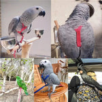 Adjustable Training Design Pet Parrot Bird Harness and Leash Set, M Size - GreenFur