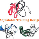 Adjustable Training Design Pet Parrot Bird Harness and Leash Set, M Size - GreenFur